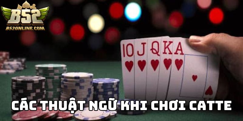 Các thuật ngữ trong game thủ cần nắm rõ khi chơi Catte