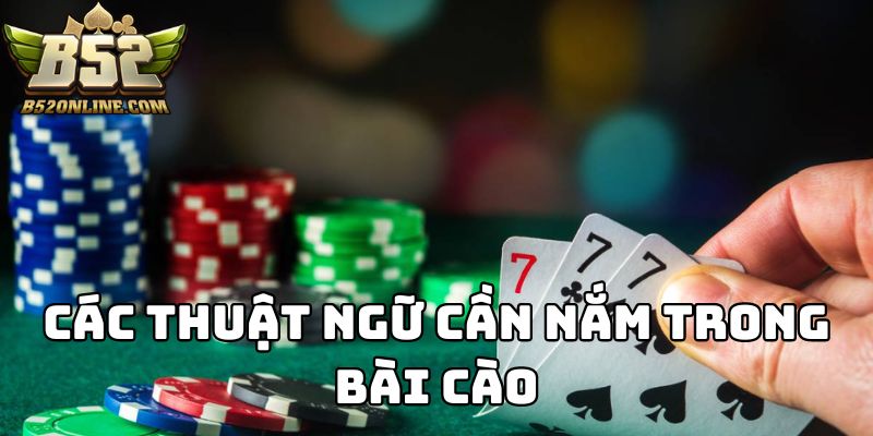 Bỏ túi các thuật ngữ cơ bản trong bài cào