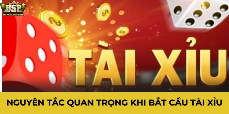 Nguyên tắc quan trọng khi bắt cầu tài xỉu