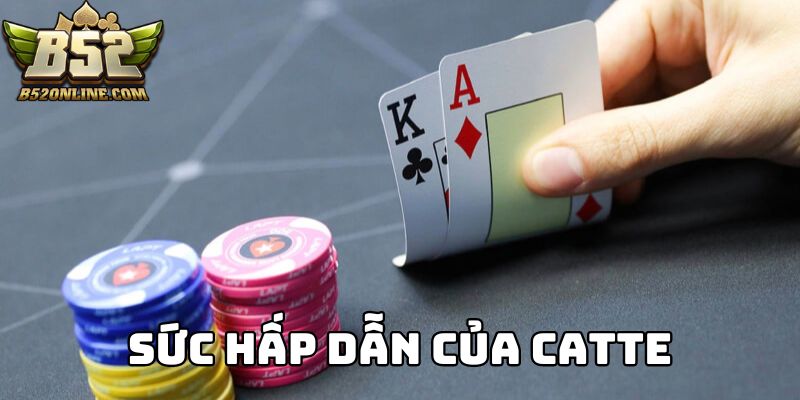 Sức hấp dẫn chỉ có tại Catte